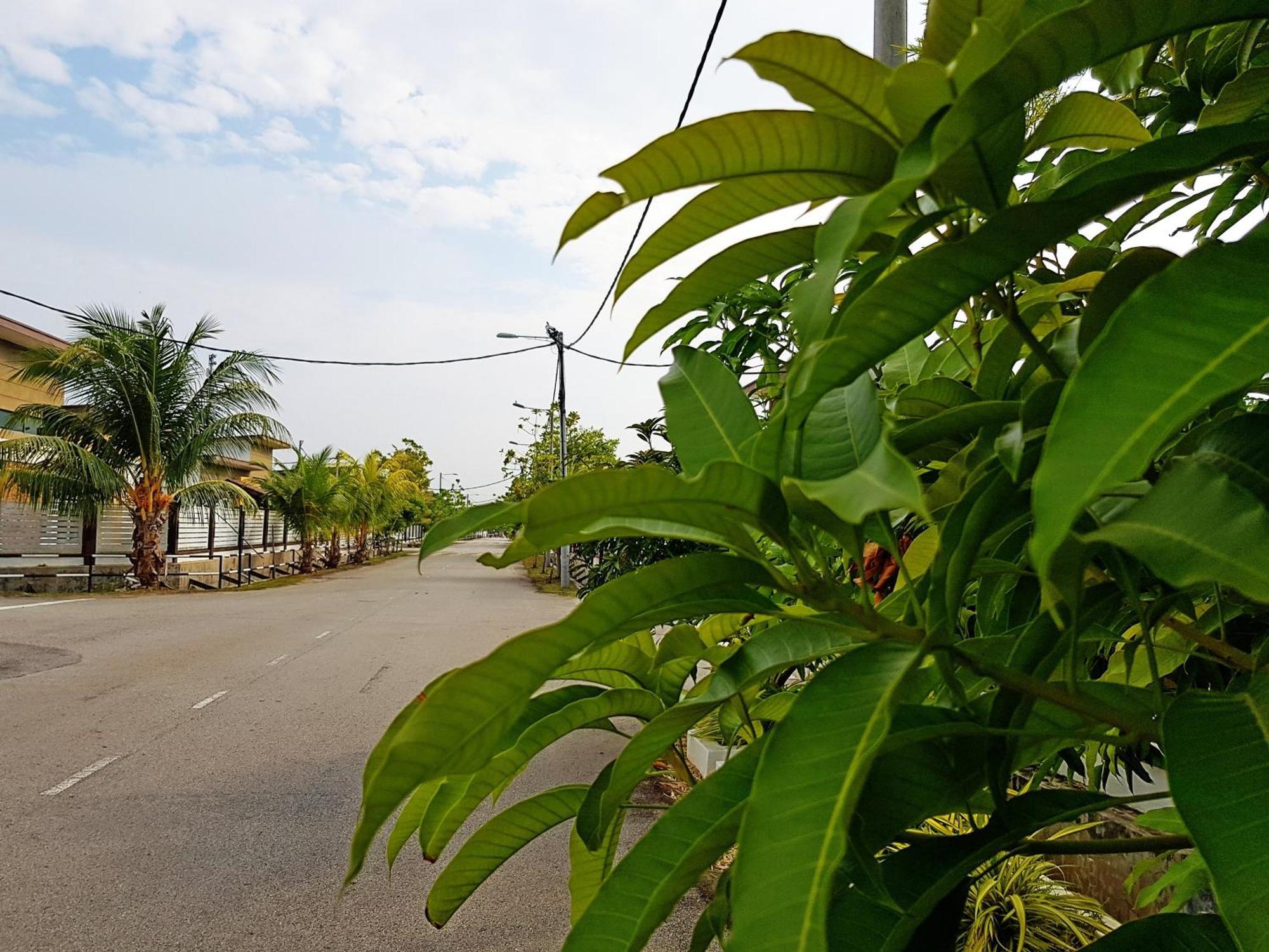 Siantan In Paya Rumput Near Std Hang Jebat, Sg Udang & Uitm Lendu Malacca Esterno foto